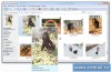 Photo DataBase