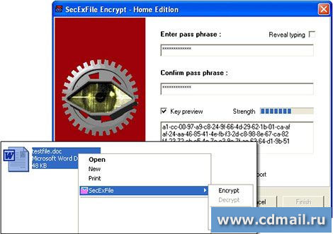 �������� SecExFile Home